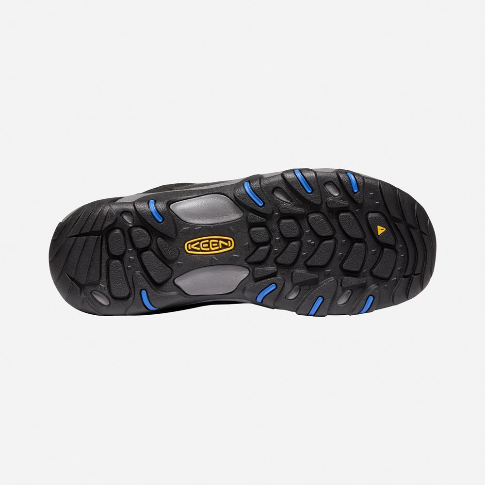 Keen Outdoor Bot Erkek Siyah/Mavi - Steens Deri Waterproof - Türkiye XMQU53974